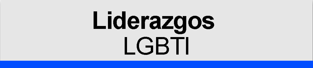 Liderazgos LGBTI